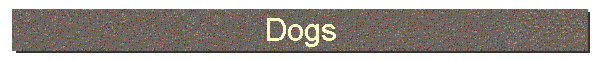 Dogs