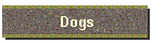 Dogs